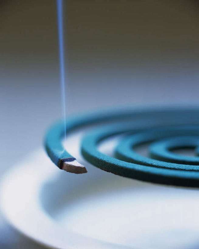 无人,竖图,室内,特写,白天,正面,朦胧,模糊,蚊香,燃烧,驱蚊,一个,绿色,烟,摄影,影棚,单个,螺纹,螺线,盘香,灭蚊,彩图,影棚拍摄,拍摄