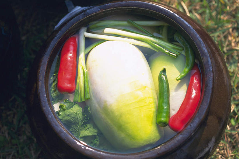 泡菜,无人,横图,俯视,室内,特写,白天,烹饪,草地,草坪,植物,桌面,辣椒,蔬菜,餐具,阴影,光线,砂锅,影子,葱,青葱,料理,食品,韩式,葱末,菜肴,美食,草,食物,绿色,阳光,摄影,佳肴,影棚,韩国料理,韩式料理,韩国泡菜,辣角,红海椒,大椒,辣虎,广椒,进餐用具,烹调用具,辣子,红辣椒,海椒,番椒,彩图,高角度拍摄,影棚拍摄,拍摄