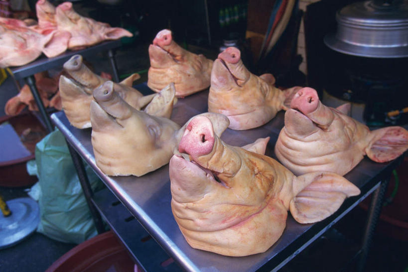 鼻子,耳朵,无人,横图,俯视,室内,特写,白天,桌面,桌子,静物,一排,许多,阴影,整齐,光线,影子,肉,猪肉,肉类,排列,阳光,队列,猪头,肉食,豚肉,鼻,鼻孔,耳,耳部,彩图,高角度拍摄