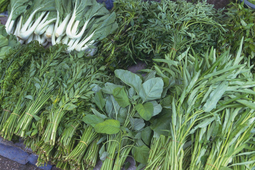 无人,菜场,横图,俯视,室内,特写,白天,蔬菜,叶子,一堆,许多,阴影,堆叠,堆积,新鲜,光线,影子,青菜,食品,绿叶,食物,排列,阳光,嫩叶,有机食品,绿色食品,堆,空心菜,摆列,集贸市场,空筒菜,藤菜,藤藤菜,蓊菜,蕹菜,竹叶菜,叶,叶片,彩图,高角度拍摄,菜市场,布列,分列