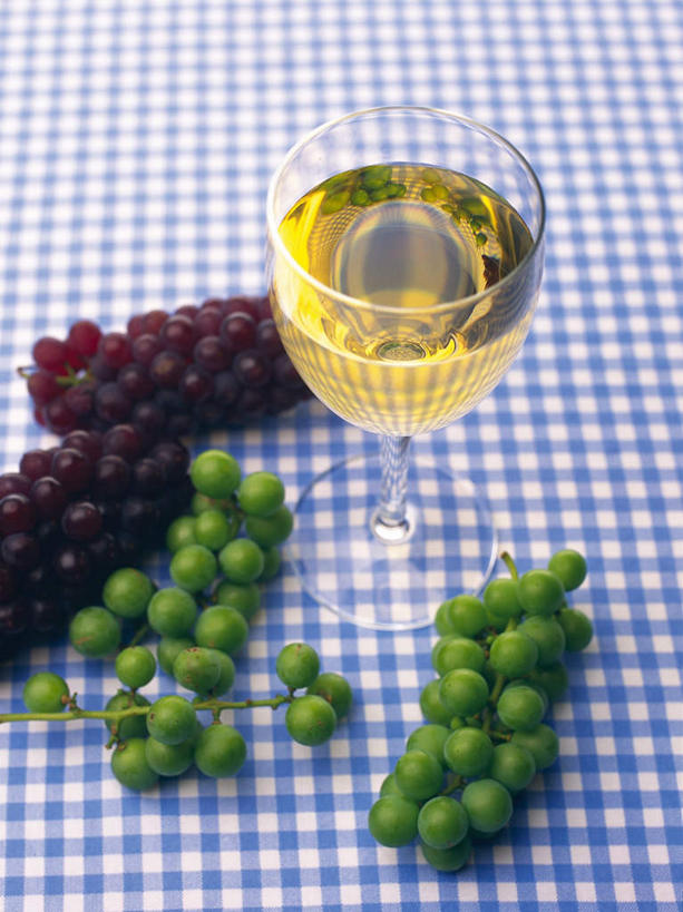 葡萄酒,无人,竖图,俯视,室内,特写,白天,白色背景,餐桌,桌子,葡萄,杯子,水果,三串,朦胧,模糊,新鲜,布料,高脚杯,生食,食品,果实,红酒杯,白葡萄酒,一杯,布纹,玻璃制品,酒,桌布,食物,饮料,绿色,紫色,餐巾,酒杯,台布,摄影,有机食品,绿色食品,影棚,餐台,玻璃杯,山葫芦,蒲桃,草龙珠,彩图,高角度拍摄,影棚拍摄,拍摄