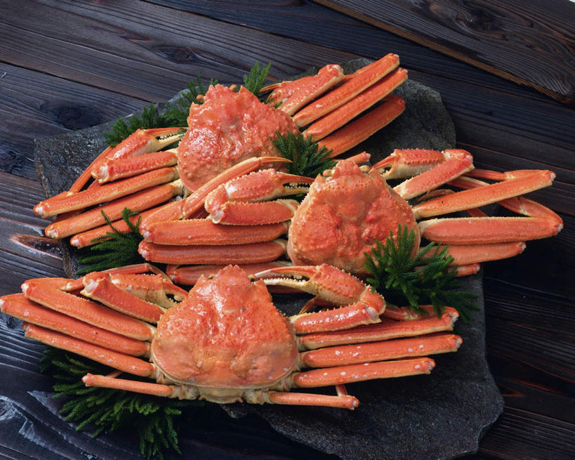 蟹,腿部,腿,无人,横图,俯视,室内,特写,白天,桌面,三只,一排,许多,黑色背景,整齐,皇后蟹,螃蟹,海洋生物,排列,黄色,绿色,摄影,影棚,海草,皮匠蟹,雪蟹,队列,水生动物,水生物,海底动物,彩图,高角度拍摄,全身,影棚拍摄,拍摄