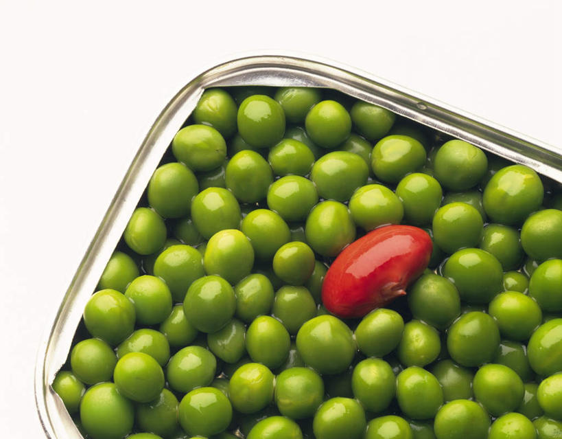 无人,横图,俯视,室内,特写,白天,白色背景,爱情,植物,豆,蔬菜,一堆,堆叠,堆积,新鲜,豆类,豆子,红豆,食品,相思豆,食物,摄影,冬青,有机食品,绿色食品,影棚,堆,豆科,相思,青豆,彩图,高角度拍摄,影棚拍摄,拍摄