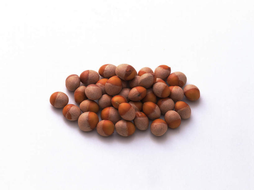 点心,无人,横图,俯视,室内,特写,白天,白色背景,一堆,许多,阴影,堆叠,堆积,反射,颗粒,影子,食品,坚果,食物,黄色,甜食,干果,摄影,影棚,堆,银杏,白果,彩图,高角度拍摄,影棚拍摄,拍摄