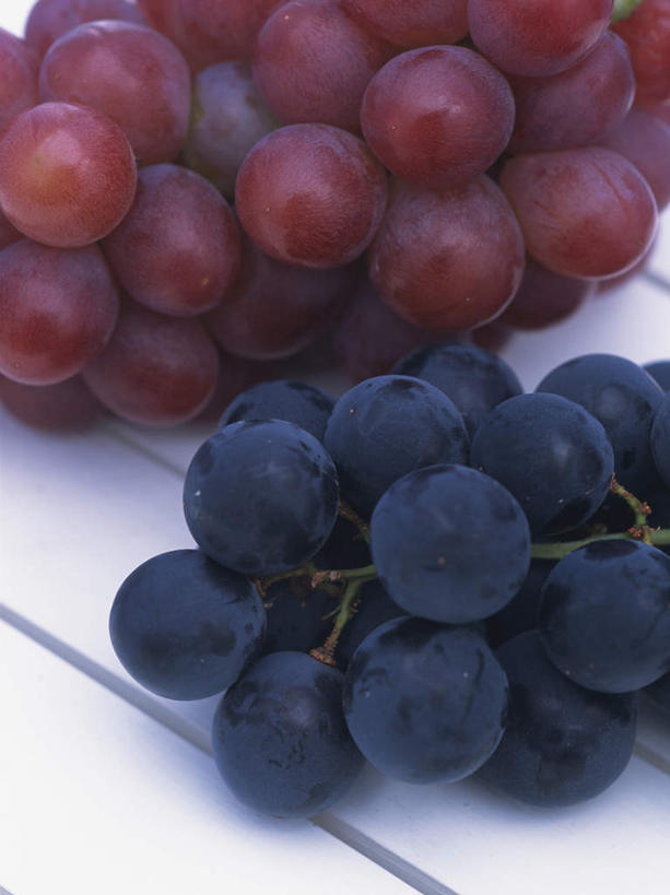 无人,竖图,俯视,室内,特写,白天,地板,葡萄,水果,一排,阴影,新鲜,整齐,反射,影子,生食,食品,果实,地面,两串,木地板,食物,排列,紫色,有机食品,绿色食品,队列,山葫芦,蒲桃,草龙珠,彩图,高角度拍摄