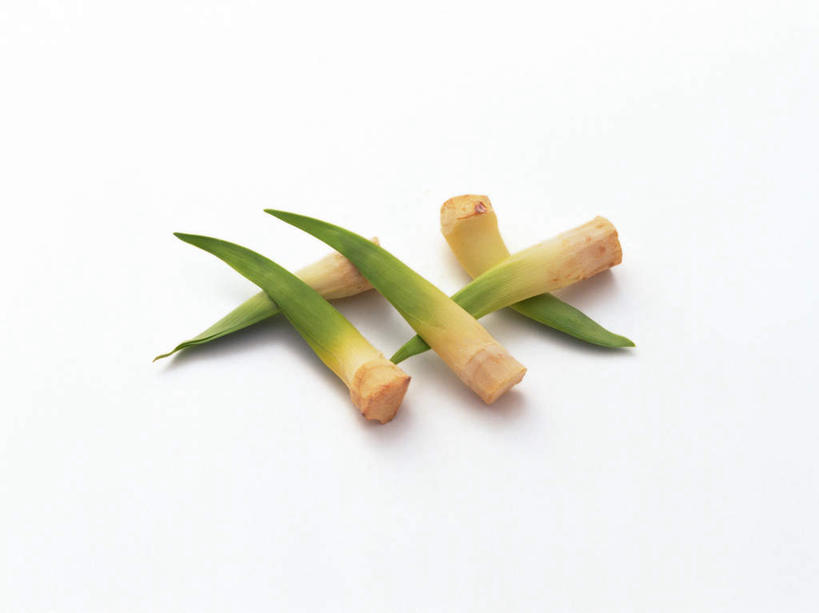 无人,横图,俯视,室内,特写,白天,白色背景,蔬菜,叶子,一堆,许多,堆叠,堆积,新鲜,食品,绿叶,食物,绿色,嫩叶,摄影,有机食品,绿色食品,影棚,堆,甘草,叶,叶片,彩图,高角度拍摄,影棚拍摄,拍摄