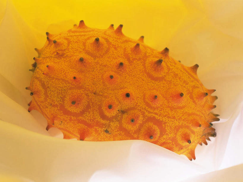 无人,横图,俯视,室内,特写,白天,水果,阴影,新鲜,光线,布,影子,生食,食品,果实,刺角瓜,非洲角瓜,食物,一个,黄色,白色,阳光,刺,有机食品,绿色食品,单个,尖锐,非洲黄瓜,非洲角黄瓜,彩图,高角度拍摄