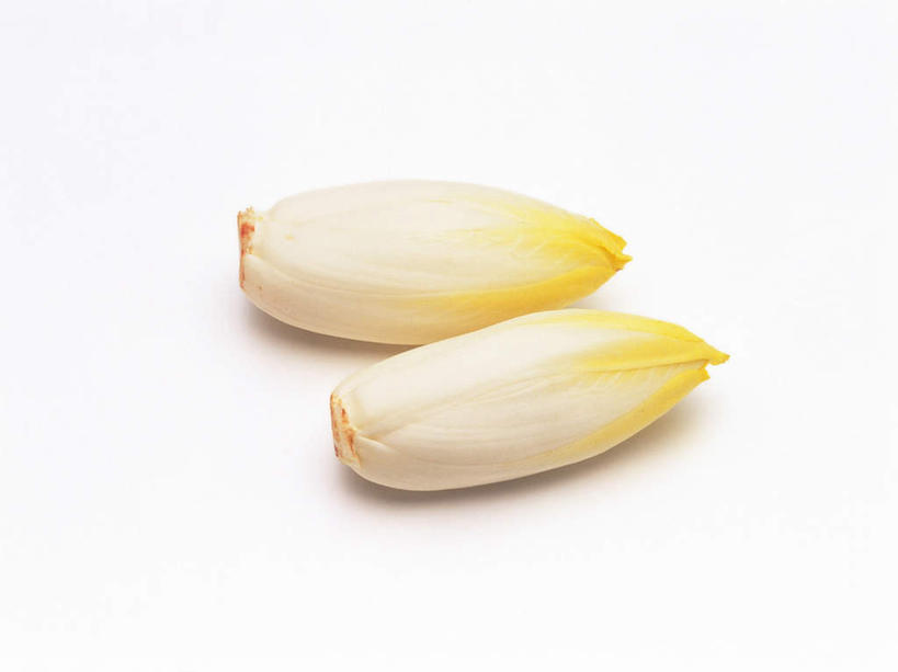 无人,横图,俯视,室内,特写,白天,白色背景,植物,阴影,反射,影子,菊苣,草药,药草,中药,两个,黄色,白色,摄影,影棚,芽,药材,中草药,中药材,本草,彩图,高角度拍摄,影棚拍摄,拍摄