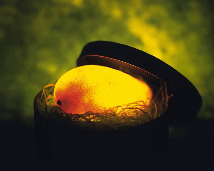 无人,横图,室内,特写,白天,正面,芒果,水果,绿色背景,朦胧,模糊,新鲜,发光,纸盒,生食,食品,果实,盒子,食物,一个,黄色,包装盒,有机食品,绿色食品,单个,明亮,望果,蜜望,檬果,闷果,漭果,杧果,庵波罗果,彩图