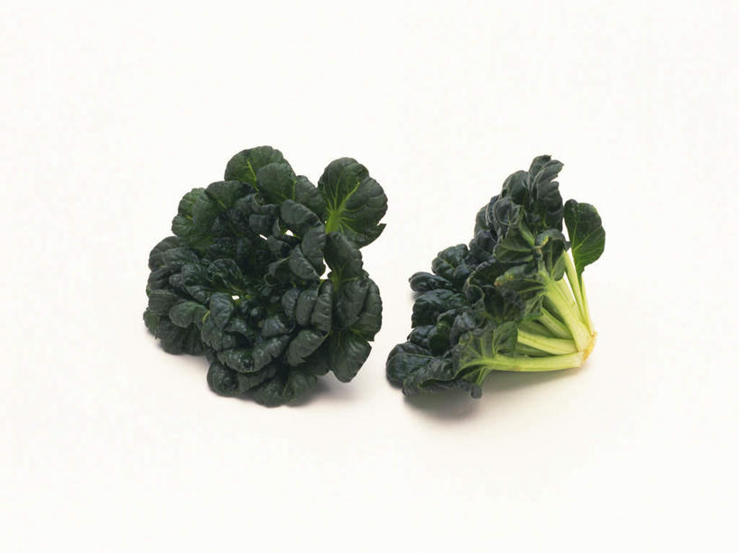 无人,横图,俯视,室内,特写,白天,白色背景,植物,蔬菜,椰菜,卷心菜,叶子,两棵,新鲜,食品,绿叶,食物,绿色,嫩叶,摄影,有机食品,绿色食品,影棚,生长,成长,叶,叶片,结球甘蓝,甘兰,包心菜,彩图,高角度拍摄,影棚拍摄,拍摄