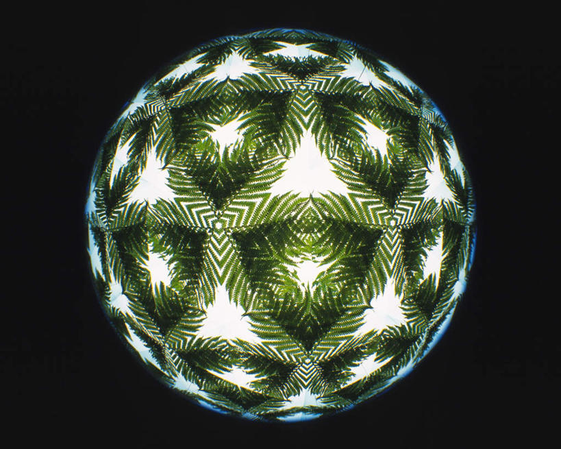 无人,横图,室内,特写,白天,正面,植物,万花筒,叶子,一排,许多,黑色背景,花纹,条纹,整齐,结构,圆形,三角形,图案,绿叶,排列,一个,绿色,白色,框架,嫩叶,摄影,影棚,生长,单个,成长,轮廓,耀眼,明亮,队列,叶,叶片,彩图,影棚拍摄,拍摄