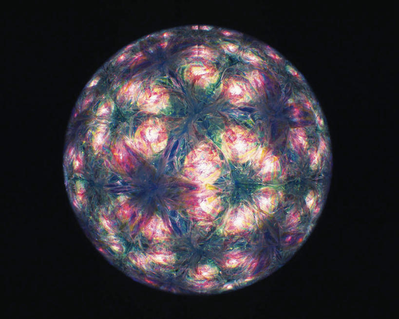 无人,横图,室内,特写,白天,正面,万花筒,许多,黑色背景,花纹,条纹,整齐,盛开,围绕,结构,圆形,图案,花蕾,花,花瓣,花朵,鲜花,排列,一个,红色,绿色,紫色,框架,花苞,花蕊,摄影,影棚,单个,轮廓,耀眼,明亮,队列,彩图,影棚拍摄,拍摄