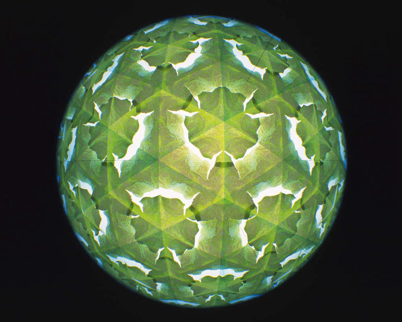 无人,横图,室内,特写,白天,正面,植物,万花筒,叶子,一排,许多,黑色背景,花纹,条纹,整齐,结构,圆形,三角形,图案,绿叶,排列,一个,绿色,白色,框架,嫩叶,摄影,影棚,生长,单个,成长,轮廓,耀眼,明亮,队列,叶,叶片,彩图,影棚拍摄,拍摄