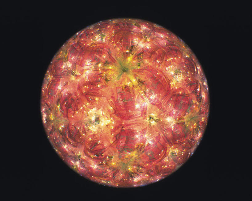 无人,横图,室内,特写,白天,正面,万花筒,一排,黑色背景,花纹,条纹,整齐,盛开,结构,圆形,图案,花蕾,花,花瓣,花朵,鲜花,排列,一个,黄色,红色,白色,框架,花苞,花蕊,摄影,影棚,单个,轮廓,耀眼,明亮,队列,彩图,影棚拍摄,拍摄