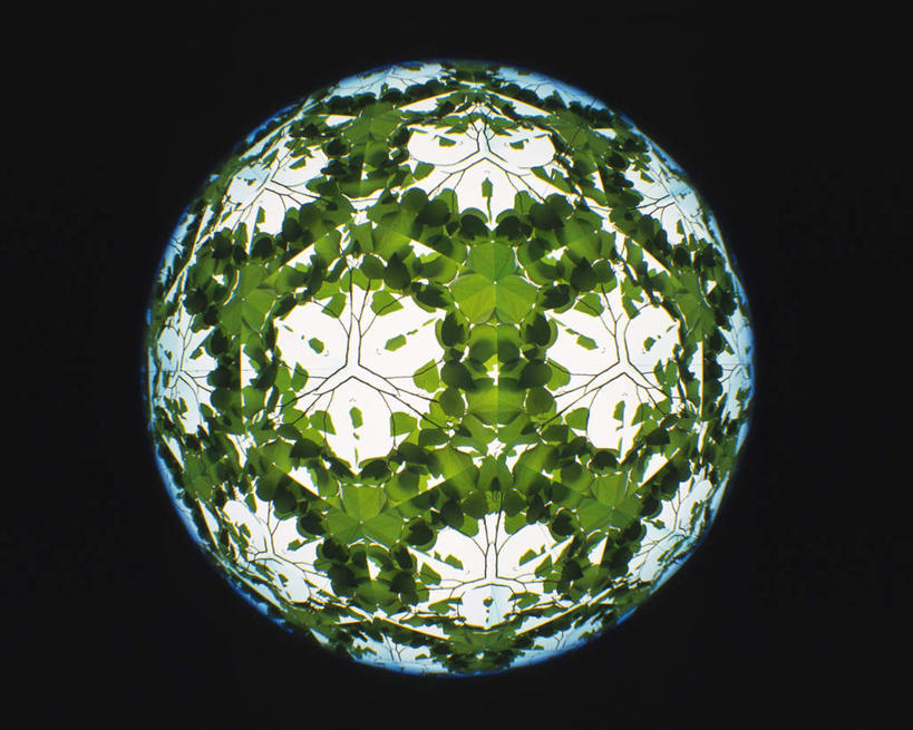 无人,横图,室内,特写,白天,正面,植物,万花筒,叶子,黑色背景,花纹,条纹,整齐,结构,圆形,图案,绿叶,枝条,排列,一个,绿色,白色,框架,嫩叶,摄影,影棚,生长,单个,成长,轮廓,耀眼,明亮,队列,叶,叶片,彩图,影棚拍摄,拍摄