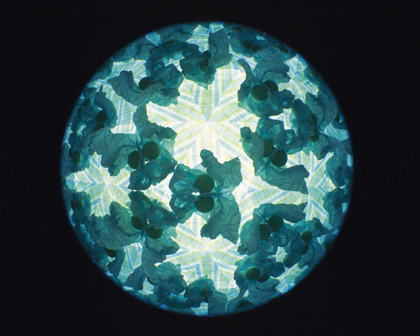 无人,横图,室内,特写,白天,正面,游戏,静物,玩具,万花筒,黑色背景,花纹,艺术,盛开,反射,图案,光,玩,花蕾,娱乐,花,花瓣,花朵,鲜花,一个,绿色,花苞,花蕊,休闲,益智,摄影,影棚,单个,活动,三棱镜,发泄,消遣,智力,光学,宣泄,玩耍,嬉戏,彩图,影棚拍摄,拍摄