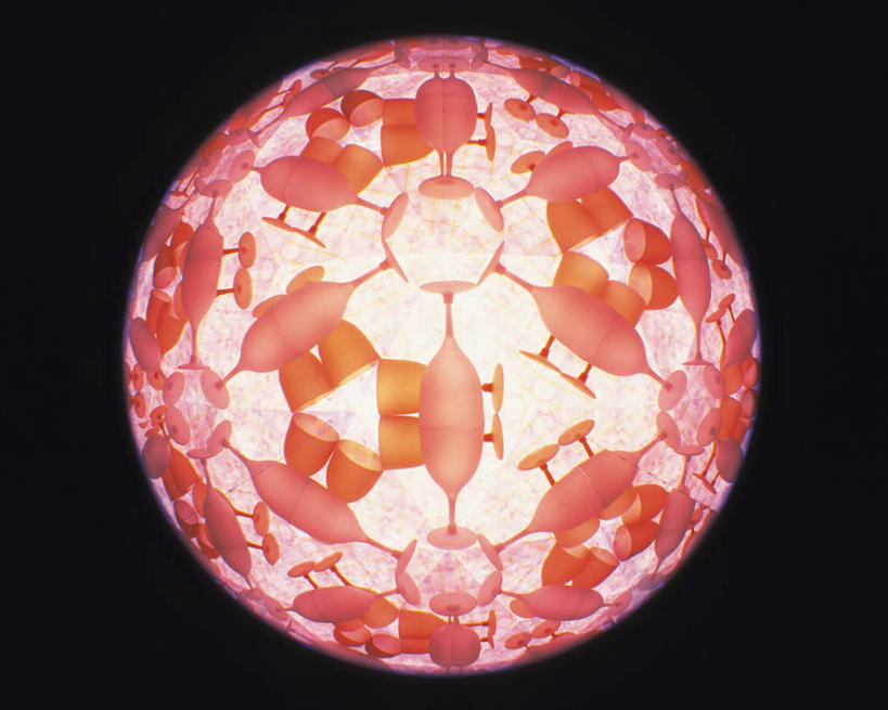 无人,横图,室内,特写,白天,正面,游戏,静物,杯子,玩具,万花筒,黑色背景,花纹,艺术,盛开,反射,图案,光,玩,花蕾,娱乐,花,花瓣,花朵,鲜花,一个,红色,花苞,花蕊,休闲,益智,摄影,影棚,单个,活动,三棱镜,发泄,消遣,智力,光学,宣泄,玩耍,嬉戏,彩图,影棚拍摄,拍摄