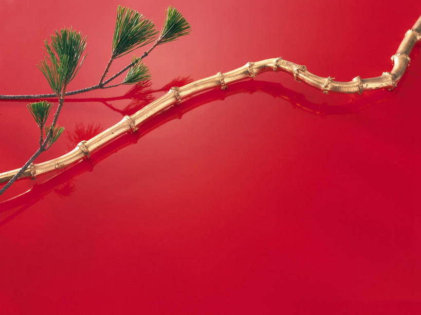 无人,横图,俯视,室内,特写,白天,植物,桌面,桌子,静物,叶子,日本,亚洲,红色背景,绿叶,紫藤,一个,绿色,嫩叶,摄影,影棚,单个,东亚,日本国,朱藤,藤萝,招藤,招豆藤,叶,叶片,彩图,高角度拍摄,影棚拍摄,拍摄