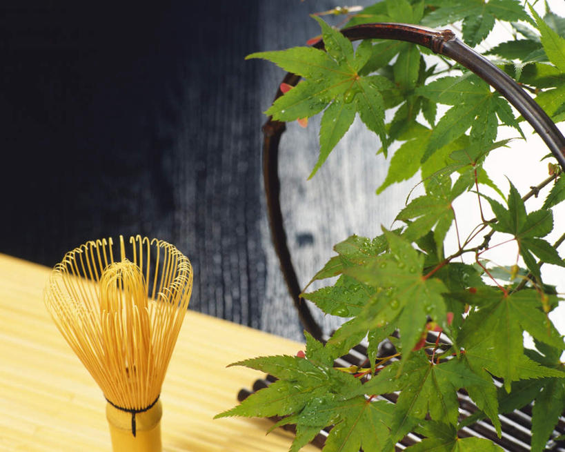 无人,横图,俯视,室内,白天,植物,餐桌,桌面,桌子,叶子,朦胧,模糊,绿叶,水珠,一个,蓝色,蓝天,天空,茶具,搅拌器,天,嫩叶,晴朗,单个,餐台,茶筅,茶叶搅拌器,万里无云,叶,叶片,晴空,晴空万里,彩图,高角度拍摄