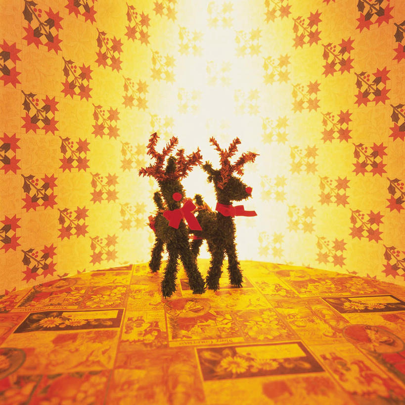 无人,方图,室内,特写,白天,正面,桌面,桌子,鹿,静物,玩具,圣诞节,花纹,节日,庆祝,装饰,玩偶,文化,两个,绿色,庆典,摄影,影棚,纪念,华丽,修饰,点缀,衬托,美观,雅致,雅观,角鹿,驯鹿,彩图,影棚拍摄,拍摄