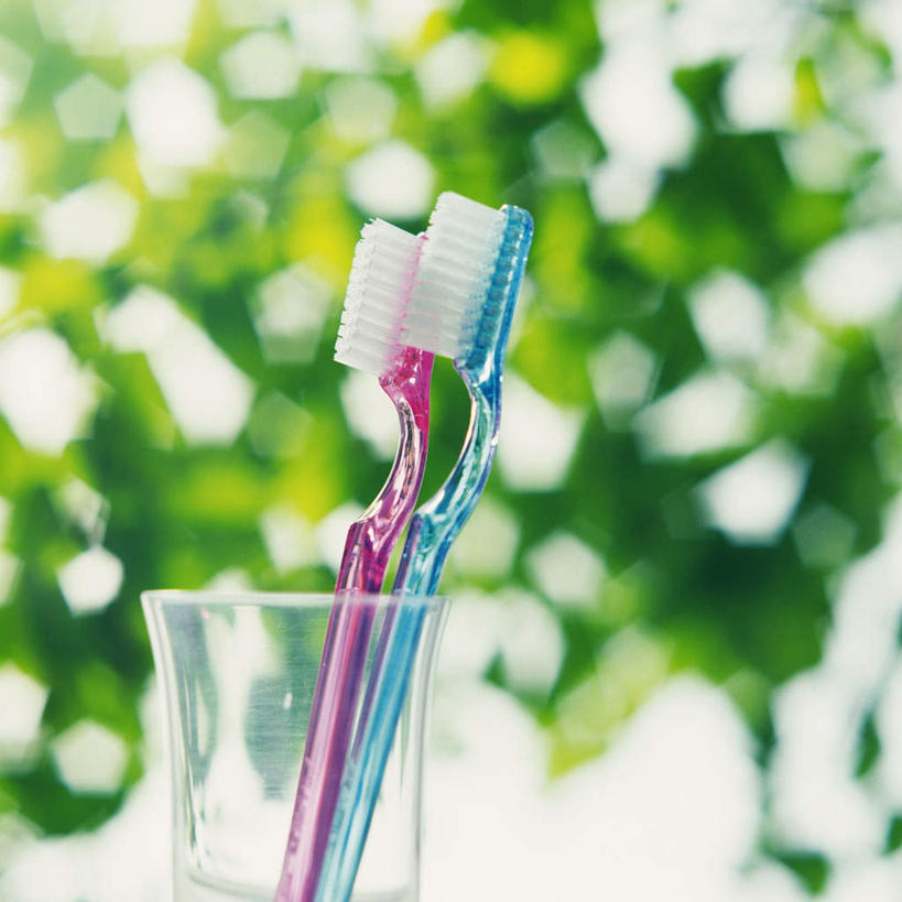 无人,方图,室外,特写,白天,正面,杯子,叶子,朦胧,模糊,牙刷,绿叶,两把,玻璃制品,两个,绿色,水杯,嫩叶,叶,叶片,玻璃杯,彩图