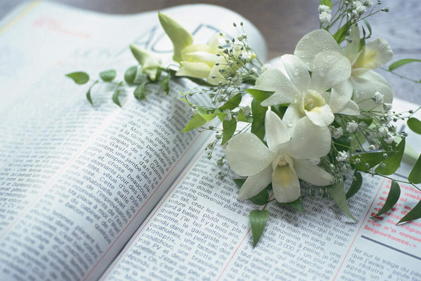 无人,横图,俯视,室内,特写,白天,桌面,桌子,静物,书籍,许多,盛开,英文,标志,文字,字符,字母,花蕾,标识,书桌,花,花瓣,花朵,鲜花,白色,课桌,花苞,花蕊,打开,翻开,一束,英文字母,石斛兰,书,图书,彩图,高角度拍摄