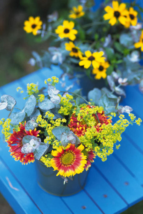 无人,竖图,俯视,室外,特写,白天,桌子,向日葵,花盆,许多,盛开,花蕾,花,花瓣,花朵,鲜花,花苞,花蕊,朝阳花,葵花,望日莲,向阳花,转日莲,彩图,高角度拍摄