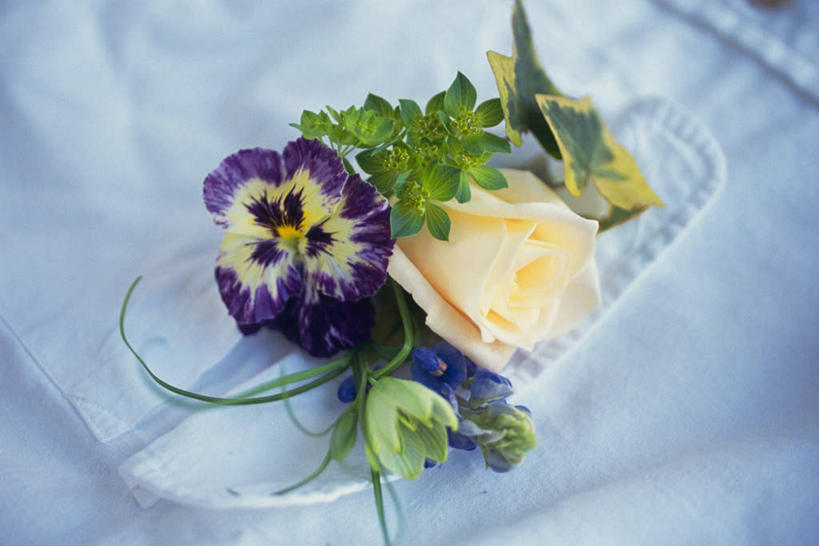 无人,横图,俯视,室内,特写,白天,白色背景,爱情,幸福,纯洁,热情,桌面,玫瑰,许多,盛开,玫瑰花,浪漫,花蕾,花,花瓣,花朵,鲜花,毛巾,蝴蝶花,花苞,花蕊,温暖,温馨,恩爱,摄影,影棚,和睦,感动,尊敬,天真,刺玫花,徘徊花,彩图,高角度拍摄,影棚拍摄,拍摄,融洽