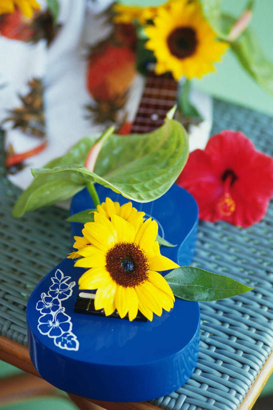 无人,竖图,俯视,室内,特写,白天,桌子,向日葵,玩具,许多,朦胧,模糊,盛开,火鹤花,安祖花,花蕾,花,花瓣,花朵,鲜花,花苞,花蕊,红掌,花烛,芙蓉花,木芙蓉,拒霜花,木莲,红鹤芋,猪尾花,烛台花,蜡烛花,地芙蓉,四面花,转观花,朝阳花,葵花,望日莲,向阳花,转日莲,彩图,高角度拍摄