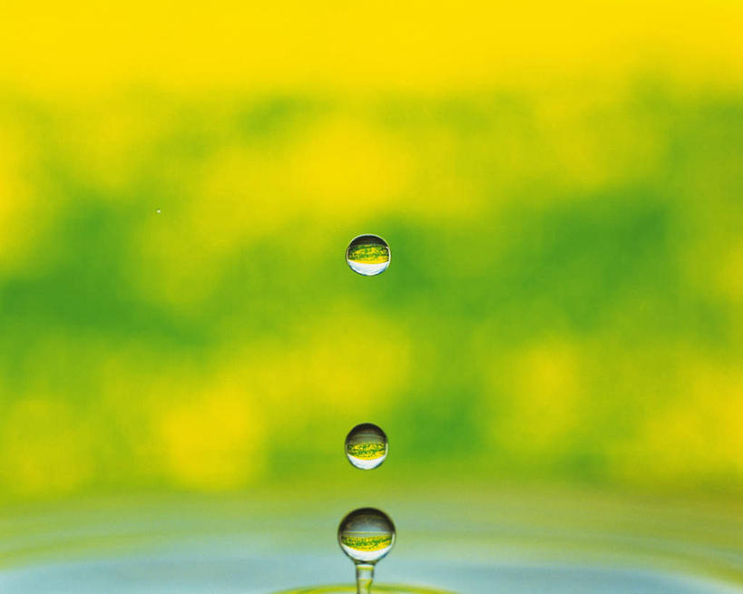 无人,横图,俯视,室外,特写,白天,一排,绿色背景,朦胧,模糊,整齐,透明,水滴,三滴,水珠,排列,黄色,摄影,影棚,队列,灵动,彩图,高角度拍摄,影棚拍摄,拍摄,生动