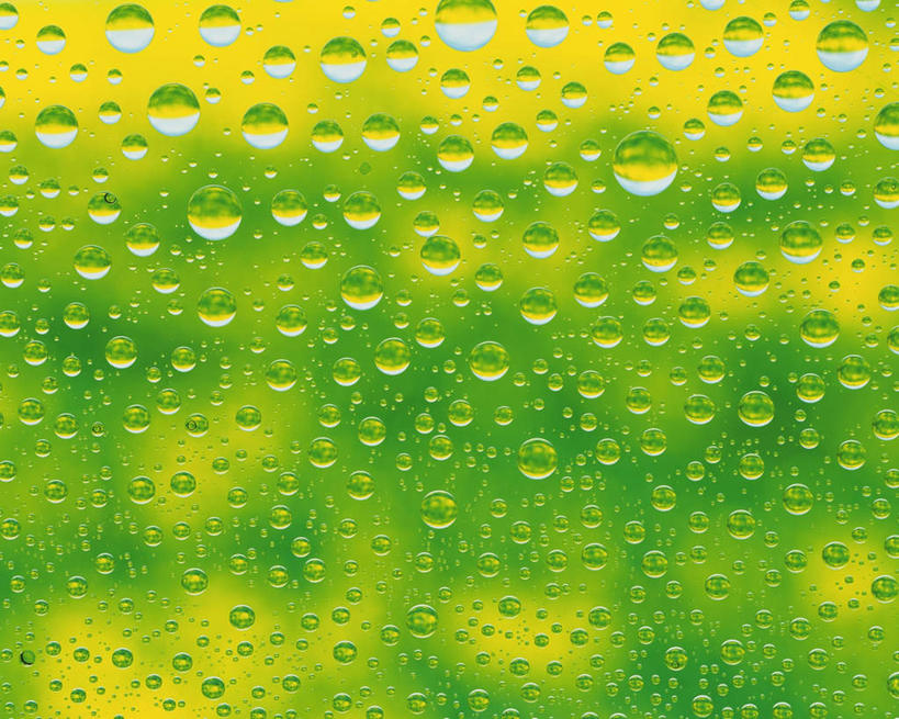 无人,横图,室内,特写,白天,正面,一排,许多,朦胧,模糊,整齐,透明,水滴,水花,水珠,排列,黄色,绿色,摄影,影棚,队列,彩图,影棚拍摄,拍摄