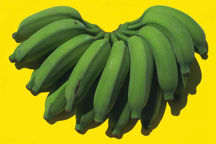 无人,横图,俯视,室内,特写,白天,香蕉,水果,一串,黄色背景,新鲜,生食,食品,果实,食物,摄影,有机食品,绿色食品,影棚,甘蕉,彩图,高角度拍摄,影棚拍摄,拍摄