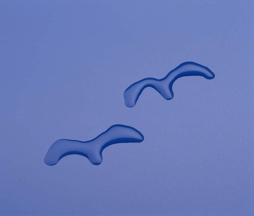 无人,横图,俯视,室内,特写,白天,水,鸟,野生动物,飞翔,花纹,条纹,紫色背景,艺术,空间,纹路,大雁,飞禽,液体,斑点,水滴,画,动物,两只,可爱,摄影,活泼,影棚,创作,想象,彩图,高角度拍摄,影棚拍摄,拍摄