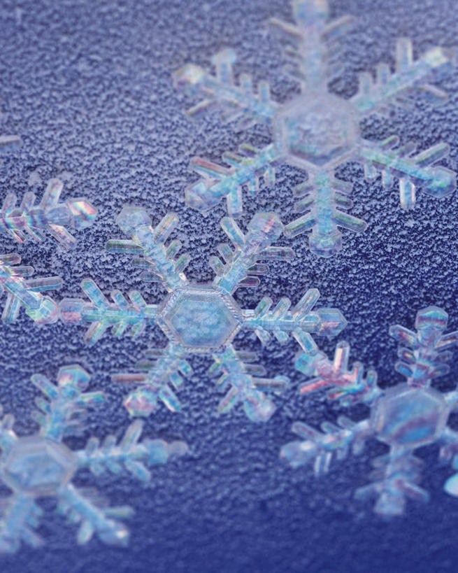 无人,竖图,俯视,室内,特写,白天,雪,大雪,许多,蓝色背景,朦胧,模糊,积雪,雪花,雪景,冬天,五片,摄影,影棚,彩图,高角度拍摄,影棚拍摄,拍摄