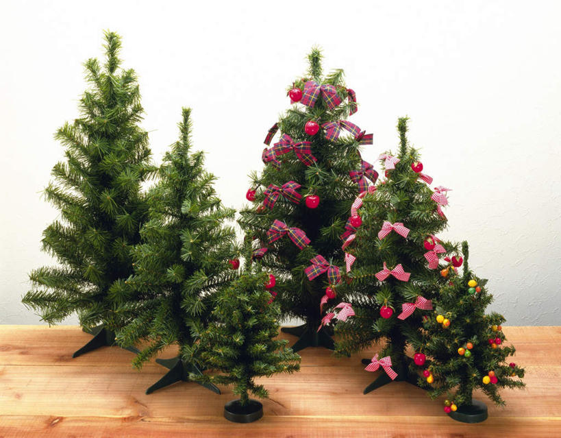 无人,横图,室内,特写,白天,白色背景,正面,植物,餐桌,桌子,静物,圣诞节,一排,许多,节日,庆祝,整齐,格纹,丝绸,丝带,圣诞树,缎带,文化,绸带,树,树木,排列,绿色,自然,庆典,摄影,影棚,生长,成长,餐台,纪念,队列,彩图,影棚拍摄,拍摄