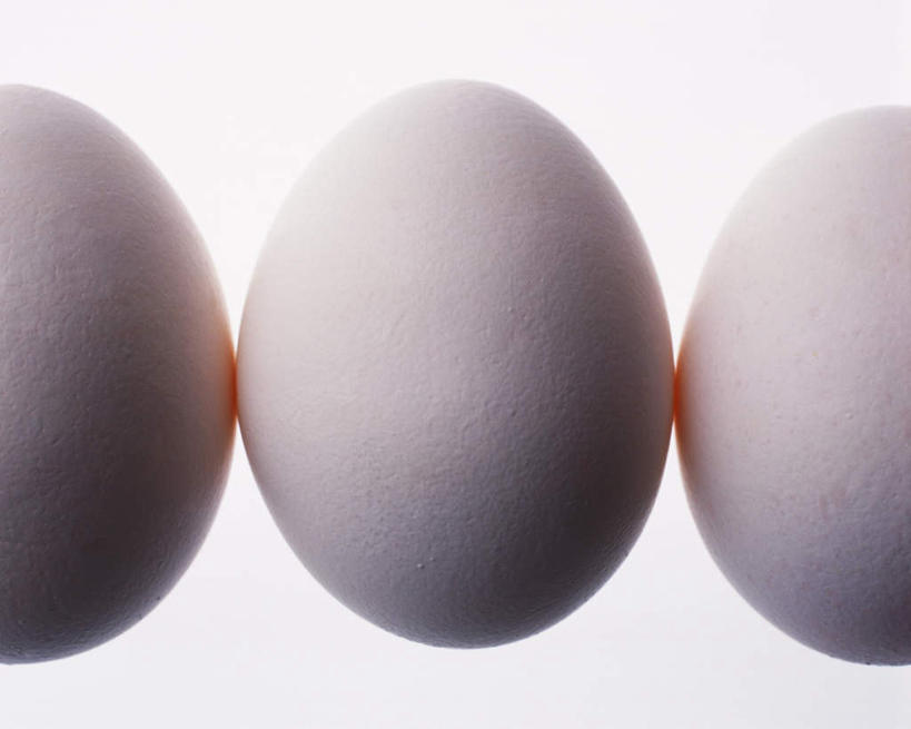 无人,横图,室内,特写,白天,白色背景,正面,一排,整齐,蛋,鸭蛋,排列,三个,摄影,影棚,队列,卵,彩图,影棚拍摄,拍摄