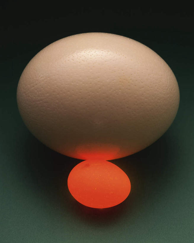 无人,竖图,俯视,室内,特写,白天,绿色背景,蛋,鸡蛋,两个,摄影,影棚,草鸡蛋,卵,彩图,高角度拍摄,影棚拍摄,拍摄