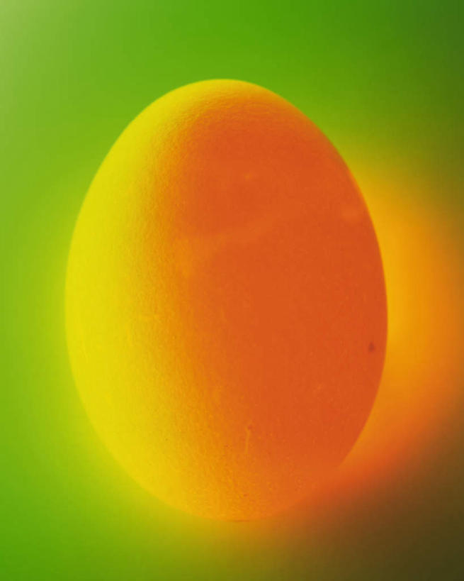 无人,竖图,俯视,室内,特写,白天,绿色背景,蛋,鸡蛋,一个,摄影,影棚,单个,草鸡蛋,卵,彩图,高角度拍摄,影棚拍摄,拍摄