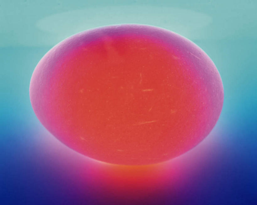 无人,横图,室内,特写,白天,正面,蓝色背景,发光,蛋,鸡蛋,一个,摄影,影棚,单个,发亮,草鸡蛋,卵,彩图,影棚拍摄,拍摄