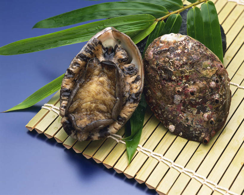 海鲜,无人,横图,俯视,室内,特写,白天,桌面,贝壳,叶子,一排,阴影,蓝色背景,整齐,光线,影子,竹叶,绿叶,水产,海洋生物,排列,阳光,两只,嫩叶,摄影,鲍鱼,影棚,队列,水生动物,海产品,水生物,海底动物,鲍,叶,叶片,贝类外壳,软体动物外壳,彩图,高角度拍摄,影棚拍摄,拍摄