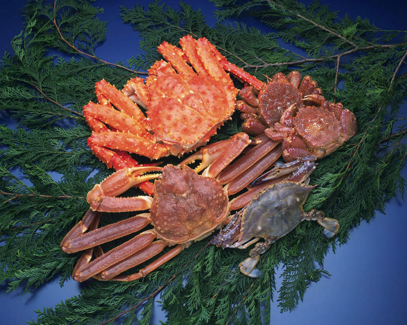 海鲜,无人,横图,俯视,室内,特写,白天,桌面,叶子,五个,许多,阴影,蓝色背景,反射,皇后蟹,影子,绿叶,帝王蟹,水产,海洋生物,嫩叶,摄影,影棚,皮匠蟹,雪蟹,水生动物,海产品,水生物,海底动物,皇帝蟹,叶,叶片,彩图,高角度拍摄,全身,影棚拍摄,拍摄