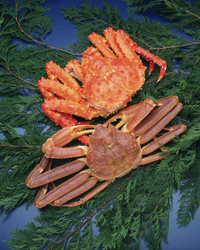 海鲜,蟹,无人,竖图,俯视,室内,特写,白天,桌面,叶子,阴影,蓝色背景,反射,皇后蟹,螃蟹,影子,绿叶,水产,海洋生物,两个,嫩叶,摄影,影棚,皮匠蟹,雪蟹,水生动物,海产品,水生物,海底动物,叶,叶片,彩图,高角度拍摄,全身,影棚拍摄,拍摄