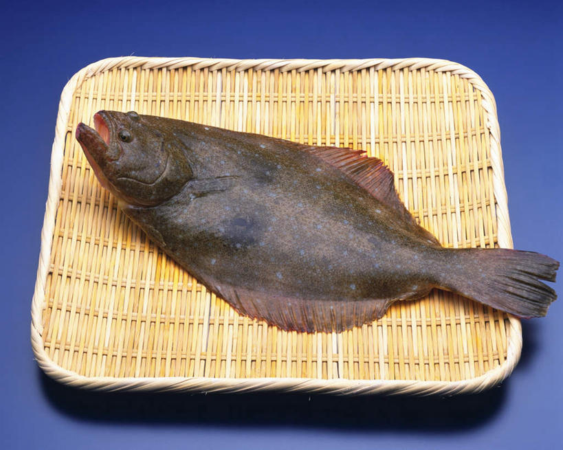 海鲜,无人,横图,俯视,室内,特写,白天,桌面,比目鱼,托盘,一条,阴影,蓝色背景,反射,鱼,影子,水产,海洋生物,一个,黑色,容器,摄影,藤编,影棚,单个,水生动物,海产品,水生物,海底动物,鲽鱼,彩图,高角度拍摄,全身,影棚拍摄,拍摄