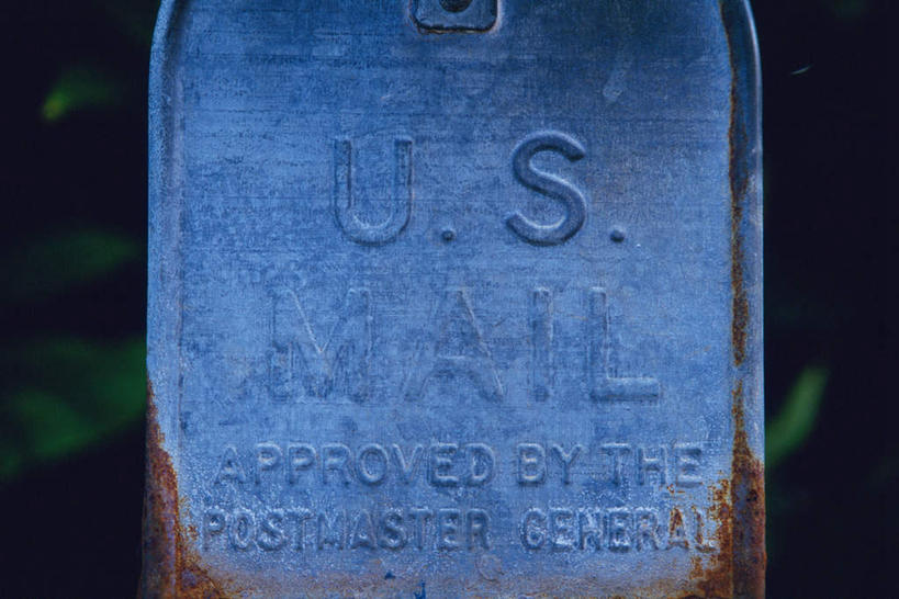 无人,横图,室外,特写,白天,正面,草地,草坪,植物,指示牌,叶子,金属制品,一块,阴影,朦胧,模糊,光线,金属,英文,标志,文字,影子,字符,字母,绿叶,标识,草,蓝色,绿色,阳光,石碑,嫩叶,英文字母,叶,叶片,彩图