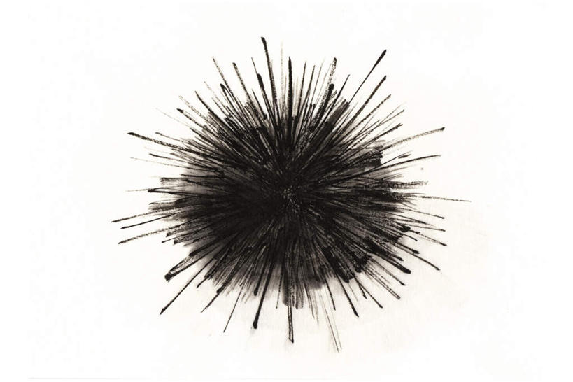 海鲜,无人,横图,插画,室内,白天,白色背景,正面,数码,科技,海胆,阴影,网络,高光,几何,计算机图形,合成,图画,水产,海洋生物,画,一个,单个,电脑合成图,数码合成图,水生动物,海产品,水生物,漫画,海底动物,写实,具体,具象,刺锅子,海刺猬,彩图,全身