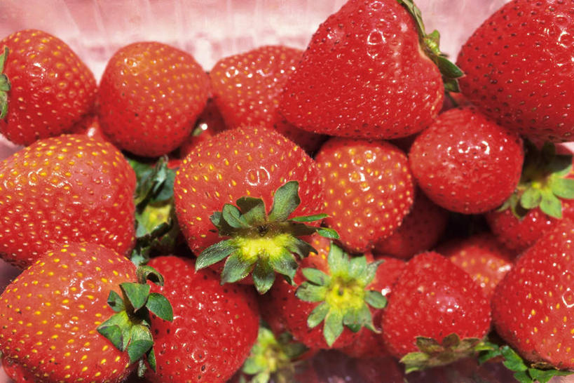 无人,横图,俯视,室内,特写,白天,桌面,草莓,水果,一堆,许多,阴影,堆叠,堆积,新鲜,光线,影子,斑点,生食,食品,果实,食物,黄色,红色,绿色,阳光,有机食品,绿色食品,堆,萼片,洋莓,水果皇后,红莓,地莓,彩图,高角度拍摄