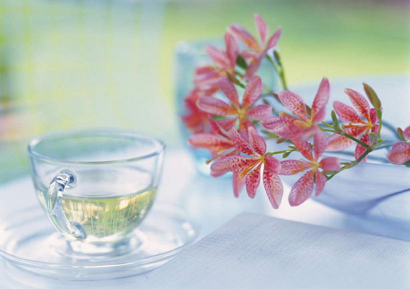 无人,横图,室外,白天,正面,植物,茶,桌子,杯子,餐具,许多,朦胧,模糊,盛开,碟子,盘,草药,药草,花蕾,中药,花,花瓣,花朵,鲜花,一个,粉色,盘子,水杯,碟,花苞,花蕊,单个,药材,中草药,中药材,本草,鬼扇,射干,乌吹,乌蒲,乌扇,茶杯,彩图