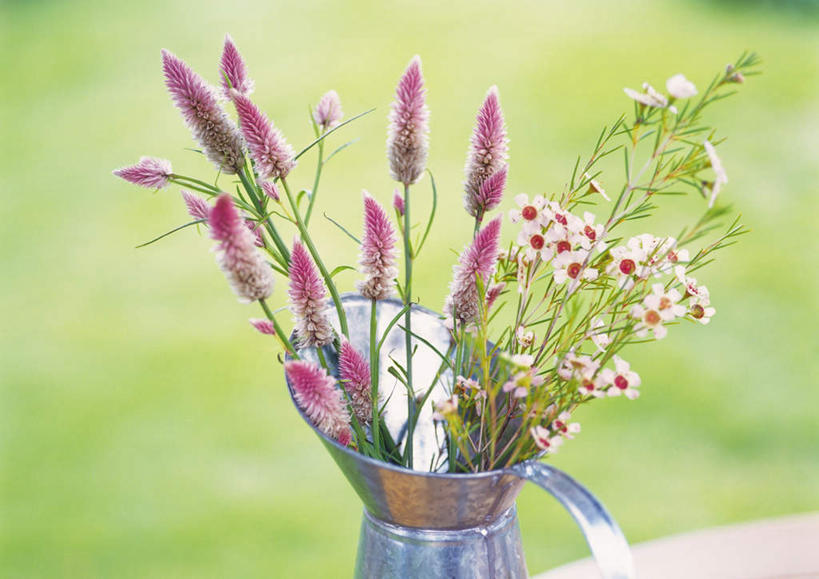 无人,横图,室外,特写,白天,正面,草地,草坪,植物,桌子,花瓶,叶子,许多,朦胧,模糊,盛开,绿叶,花蕾,草,花,花瓣,花朵,鲜花,绿色,花苞,花蕊,嫩叶,青葙,风蜡花,杰拉尔顿腊花,蜡花,淘金彩梅,鸡冠苋,昆仑草,萋蒿,野鸡冠,叶,叶片,彩图