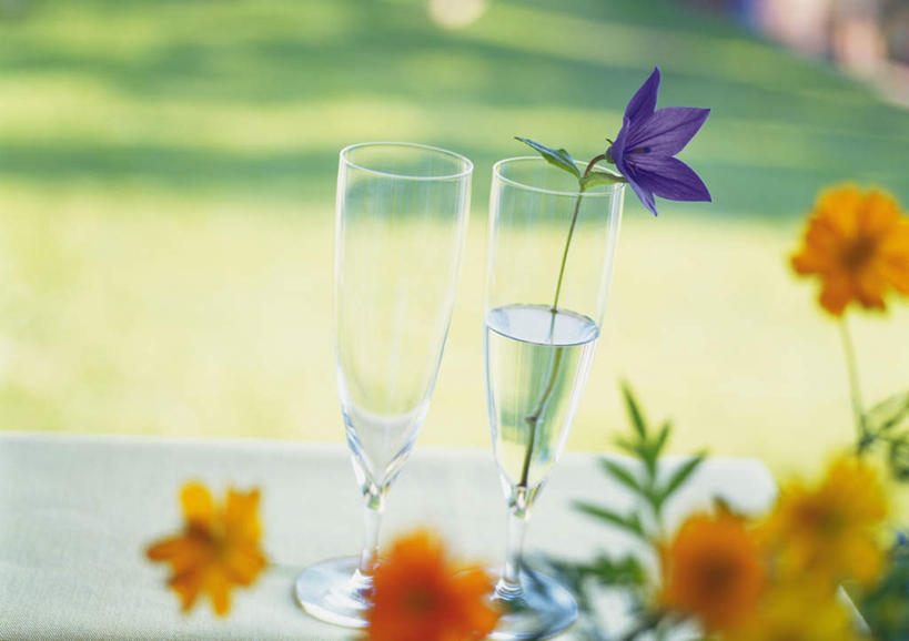 无人,横图,俯视,室外,白天,草地,草坪,水,植物,桌子,杯子,许多,朦胧,模糊,盛开,高脚杯,液体,水滴,风铃草,祝福,花蕾,玻璃制品,草,花,花瓣,花朵,鲜花,绿色,酒杯,花苞,花蕊,钟花,创造,感谢,温柔,香槟杯,感恩,嫉妒,黄波斯菊,黄芙蓉,黄秋英,硫华菊,硫黄菊,瓦筒花,玻璃杯,彩图,高角度拍摄