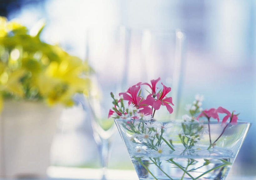 无人,横图,室外,特写,白天,正面,快乐,幸福,植物,桌子,静物,杯子,花瓶,许多,朦胧,模糊,盛开,高脚杯,陶瓷,玛格丽特,草药,药草,陶瓷制品,花蕾,中药,玻璃制品,雏菊,花,花瓣,花朵,鲜花,酒杯,瓶子,花苞,花蕊,菊花,活力,希望,坚强,药材,中草药,和平,香槟杯,离别,中药材,本草,延命菊,幸福花,春菊,马兰头花,鬼扇,射干,乌吹,乌蒲,乌扇,暗恋,纯情,单恋,天真,玻璃杯,彩图,愉快